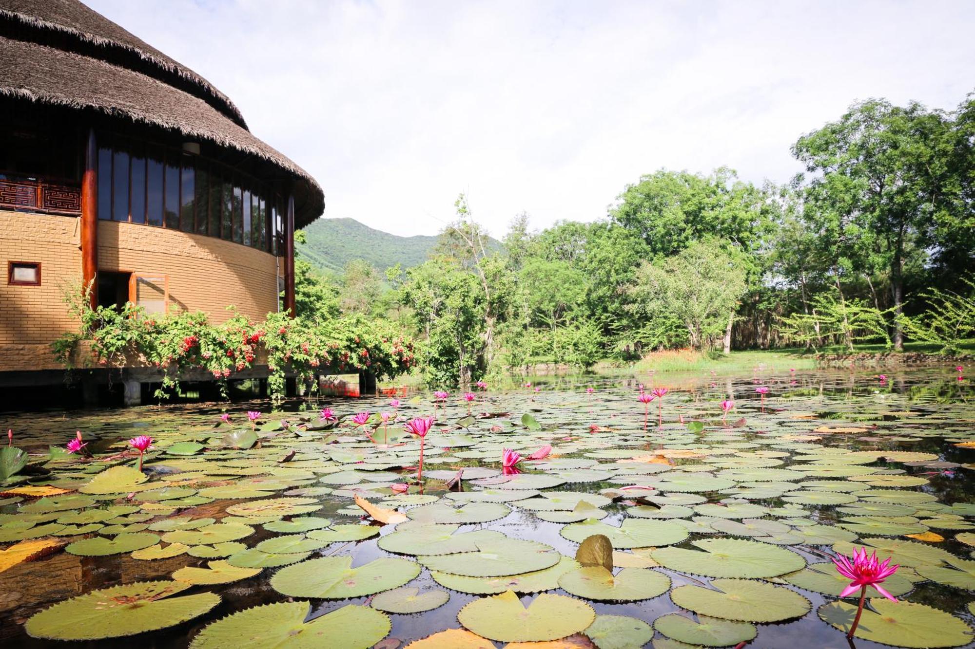 Alba Wellness Resort By Fusion Hué Eksteriør billede