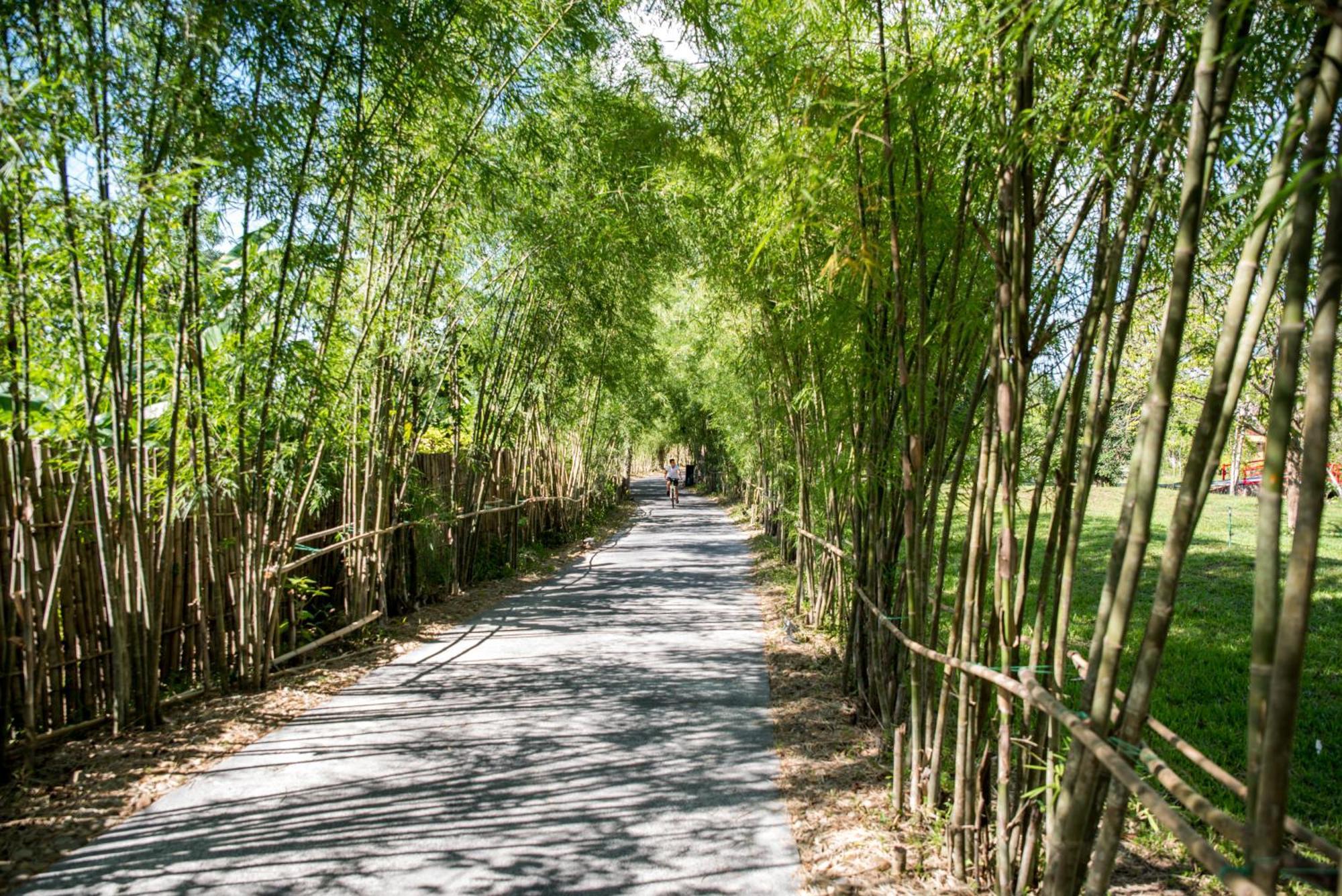 Alba Wellness Resort By Fusion Hué Eksteriør billede